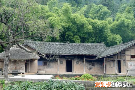 枣树不能对着门和窗 家中为何不能种枣树