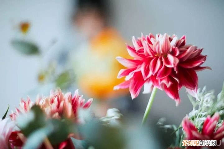 KAIYOU河北彩花写真 河北彩花新作写真