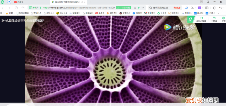 怎样把视频课程下载到电脑上 怎么下载视频到电脑里面