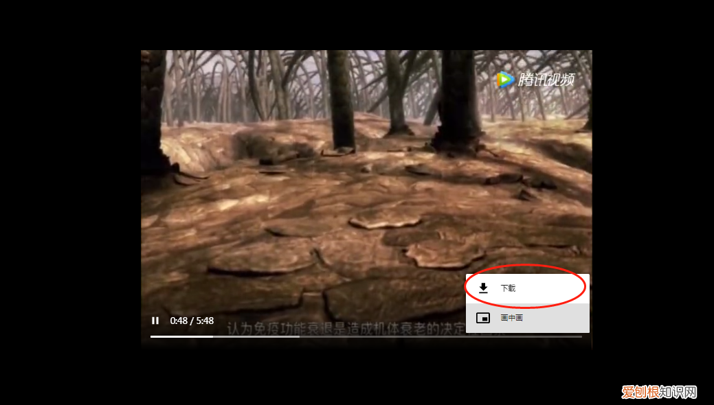 怎样把视频课程下载到电脑上 怎么下载视频到电脑里面