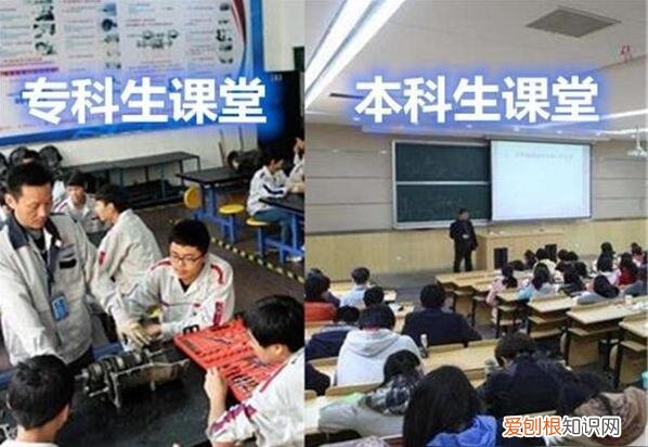 本科、专科有啥区别 本科是什么意思
