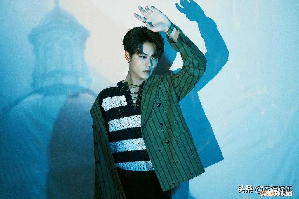 林彦俊怎么消失了 林彦俊为什么被冷藏