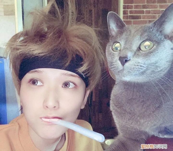 河南実里从MGS回归 天川空离开了FALENO