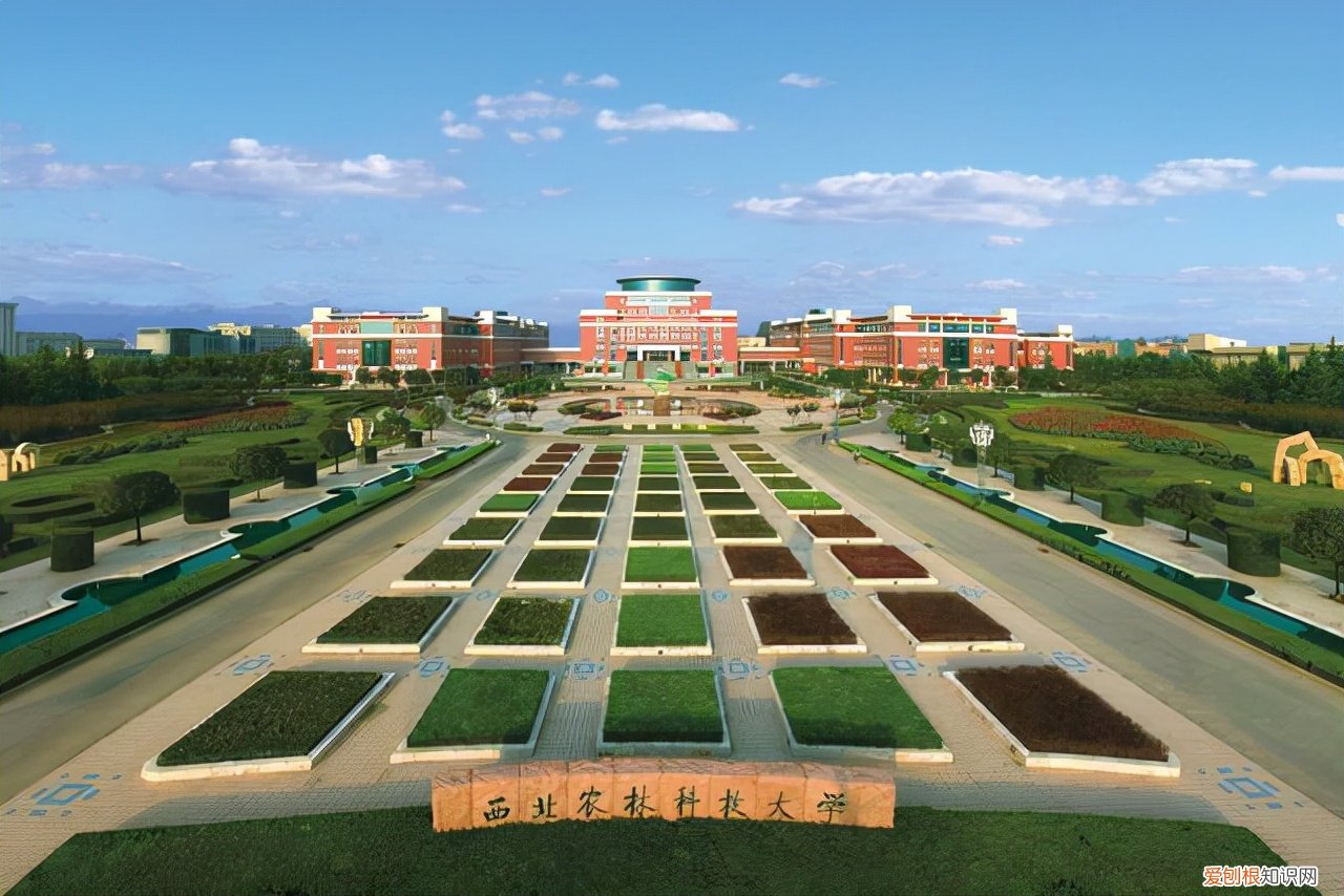 农林大学全国排名222最新排名 全国重点农林类大学排名