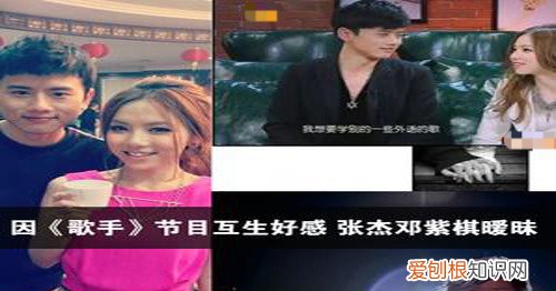 谢娜与张杰离婚了吗 谢娜和张杰什么时候离的婚