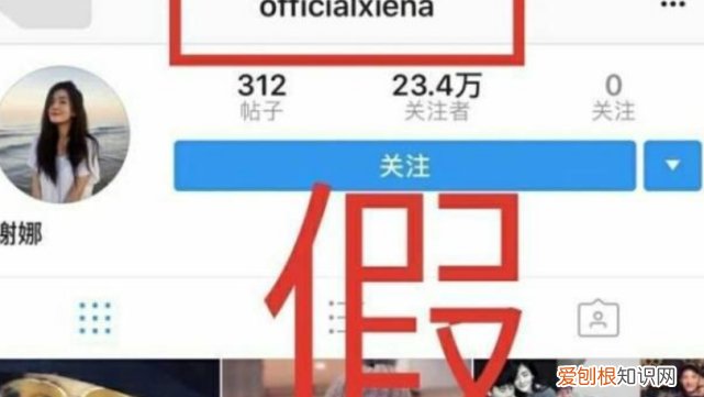 谢娜与张杰离婚了吗 谢娜和张杰什么时候离的婚