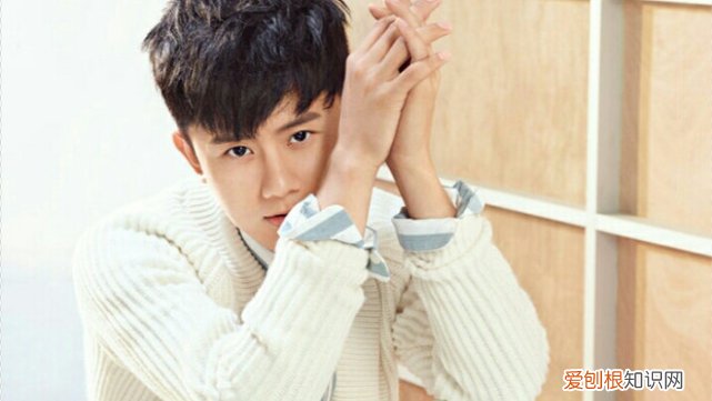 谢娜与张杰离婚了吗 谢娜和张杰什么时候离的婚