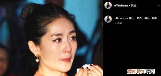 谢娜与张杰离婚了吗 谢娜和张杰什么时候离的婚