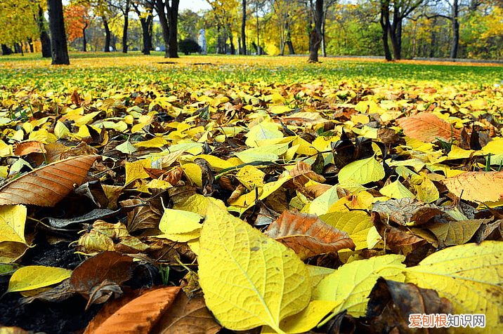 看风景感悟人生的句子