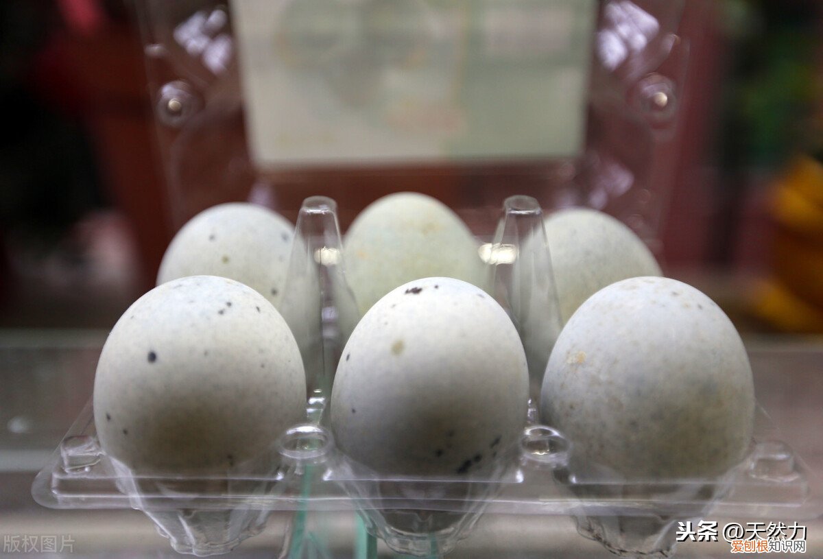 松花皮蛋怎么吃 买回来皮蛋要煮吗