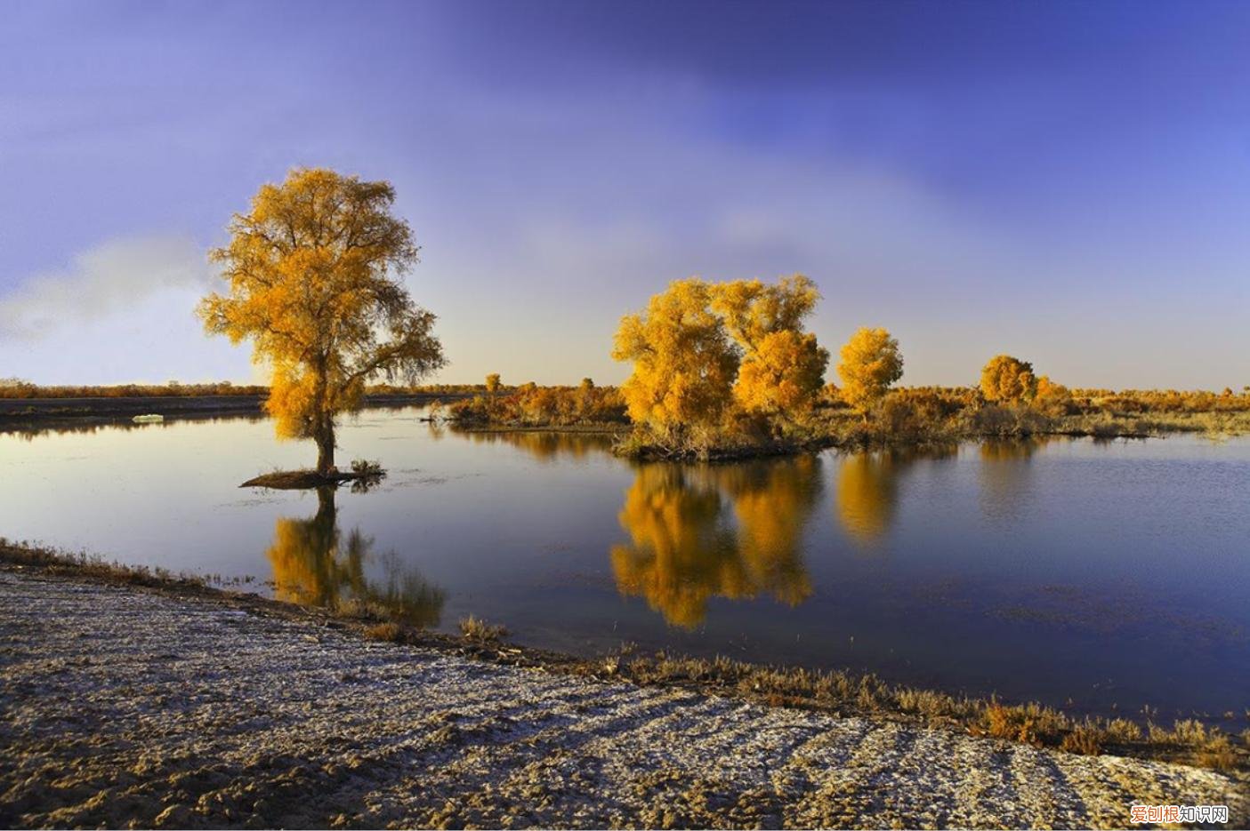 新疆阿克苏地区 阿拉尔市属于哪个地区