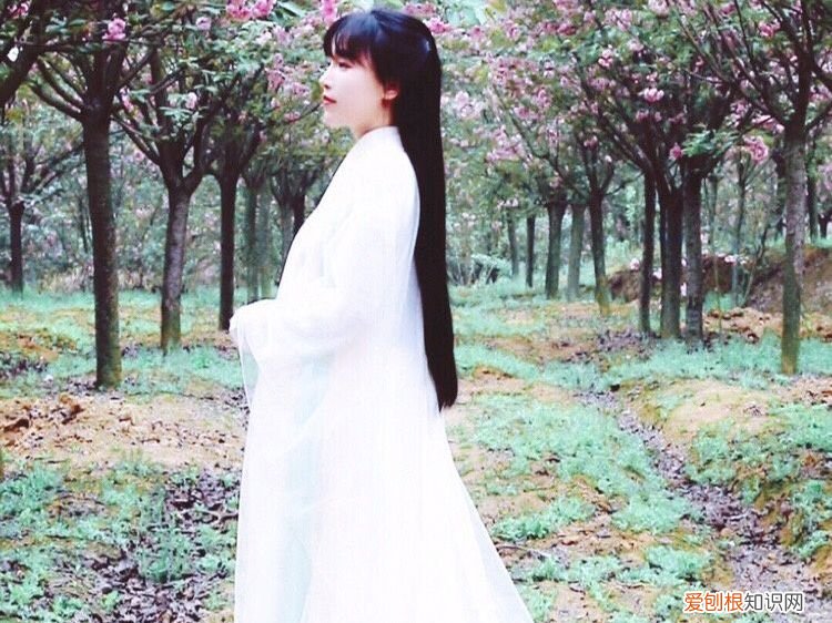 李子柒还能复出吗 李子柒事件是怎么回事