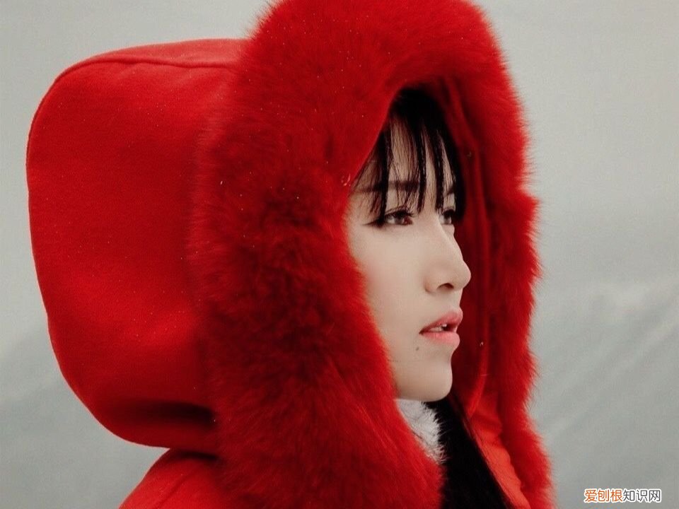 李子柒还能复出吗 李子柒事件是怎么回事