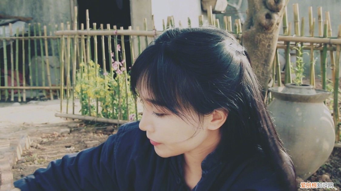 李子柒还能复出吗 李子柒事件是怎么回事