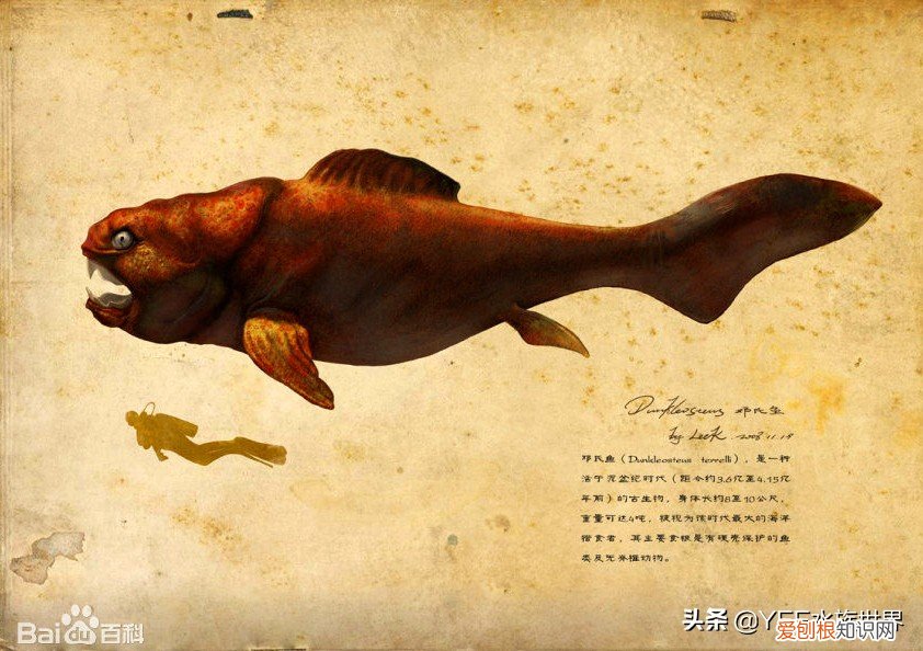 克柔龙生活在哪个世纪 克柔龙生活在什么时期