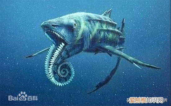 克柔龙生活在哪个世纪 克柔龙生活在什么时期