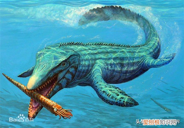 克柔龙生活在哪个世纪 克柔龙生活在什么时期