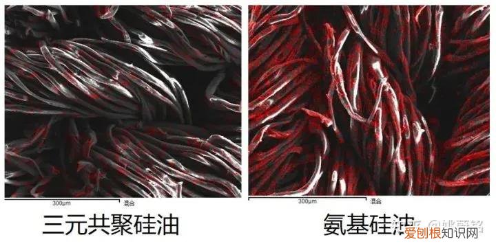 秋成勋滑溜溜事件是什么梗 秋成勋滑溜溜事件怎么回事