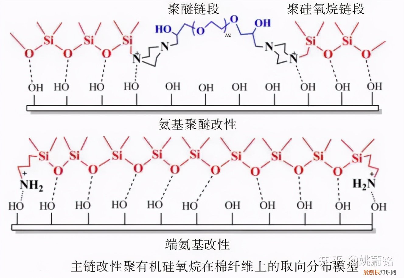 秋成勋滑溜溜事件是什么梗 秋成勋滑溜溜事件怎么回事
