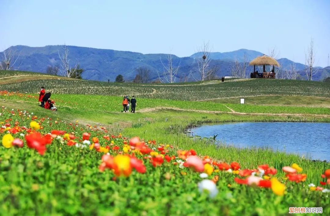 杭州周边自驾游哪些地方推荐 径山花海