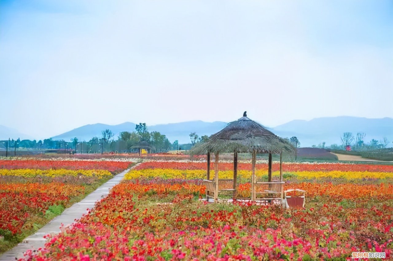 杭州周边自驾游哪些地方推荐 径山花海