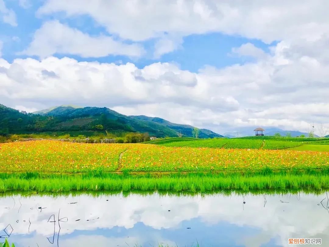 杭州周边自驾游哪些地方推荐 径山花海