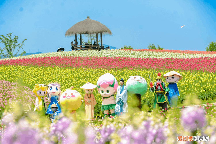 杭州周边自驾游哪些地方推荐 径山花海