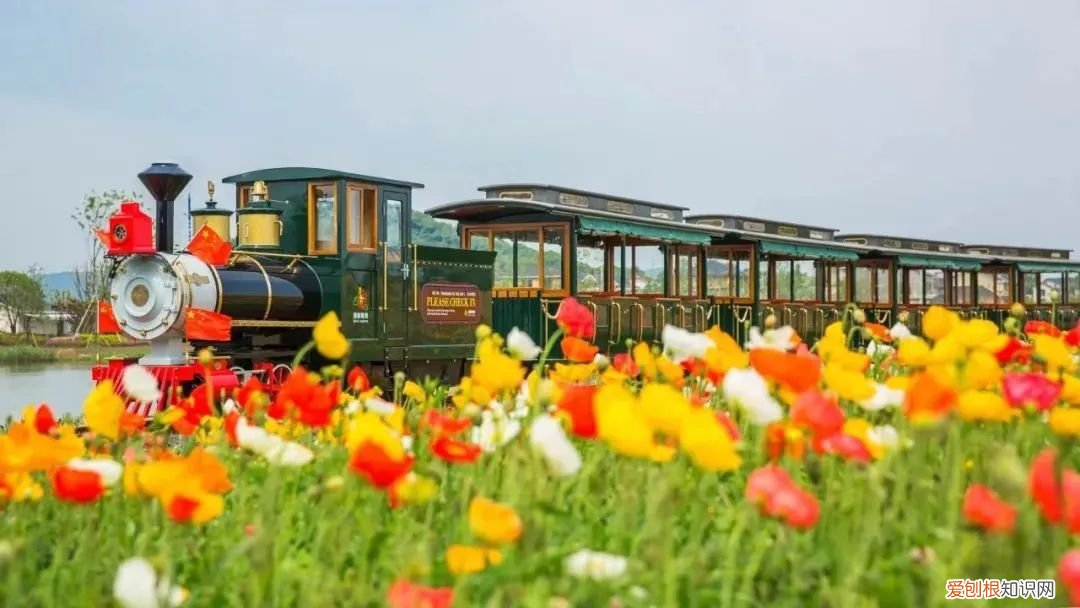 杭州周边自驾游哪些地方推荐 径山花海