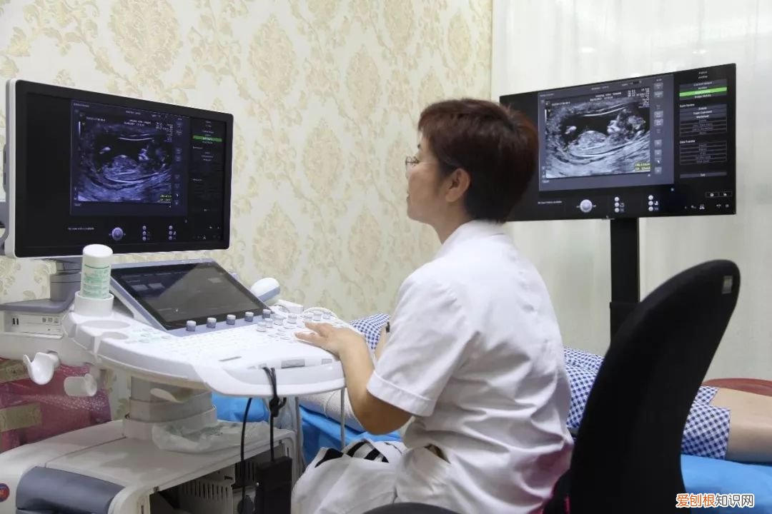 需要检查什么 怀孕在医院建档需要什么 孕前检查挂什么科