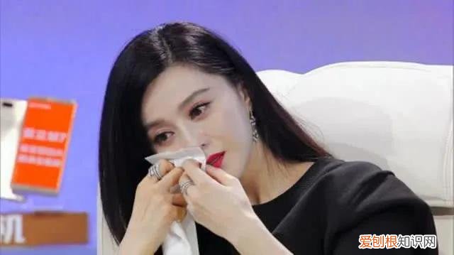 偷税漏税被罚8.83亿 范冰冰偷多少钱的税