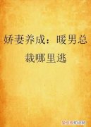 西雅顾维希小说叫什么