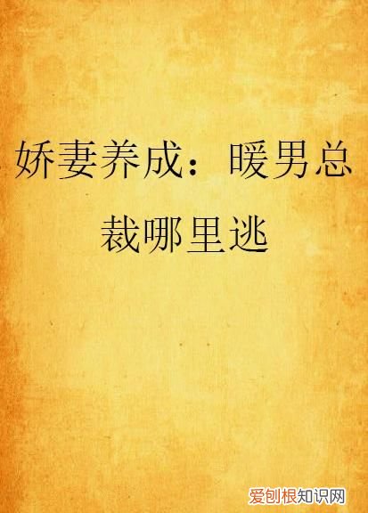 西雅顾维希小说叫什么