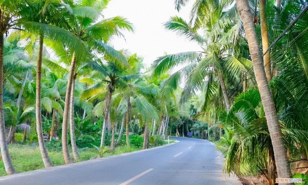 自驾游十一去哪玩比较好 国庆节值得打卡的四个地方