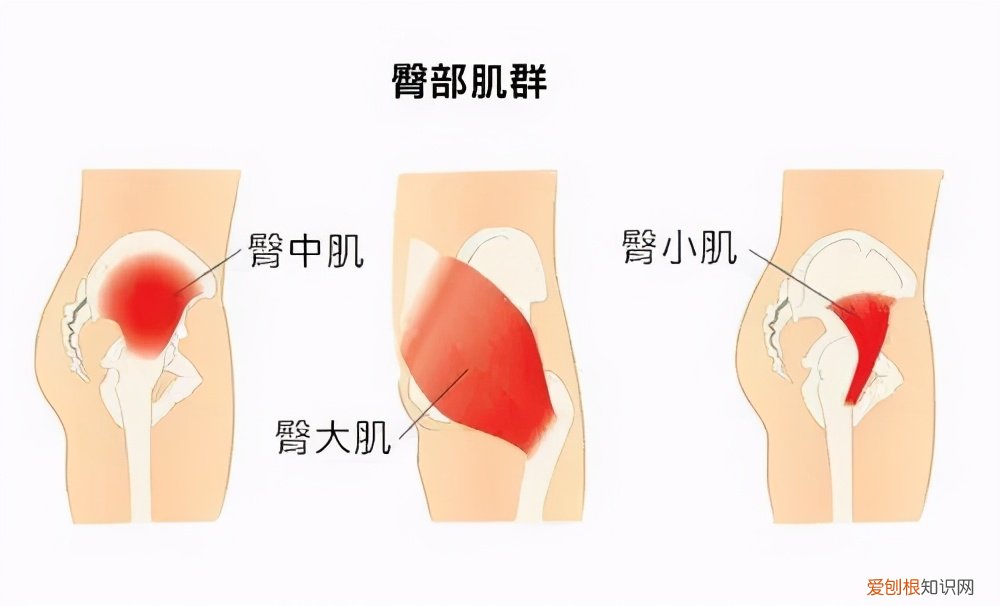 女生水蜜桃是指什么 水蜜桃是指女生哪里