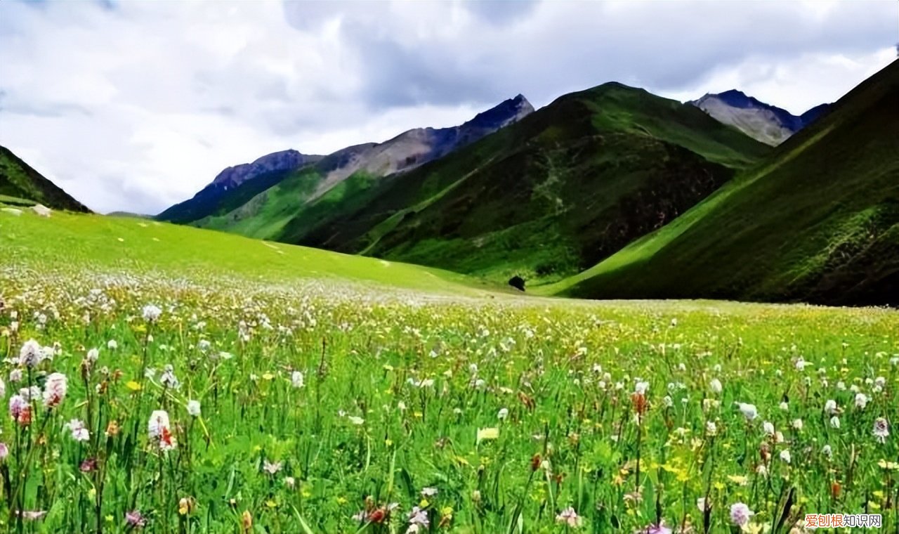 青海湖位于哪个省 青海省5A级景区图片