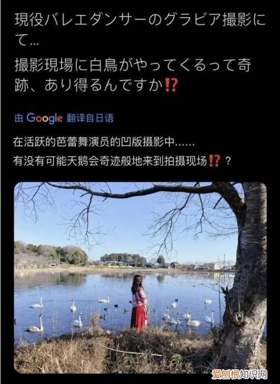 藤佳奈、恋渊桃奈四月新人来势汹汹 枫花恋怒清动态