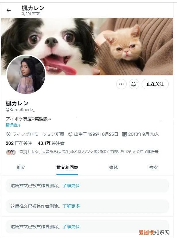 藤佳奈、恋渊桃奈四月新人来势汹汹 枫花恋怒清动态