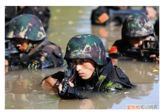 12年兵龄退伍安置什么工作 12年退伍一般分配什么工作