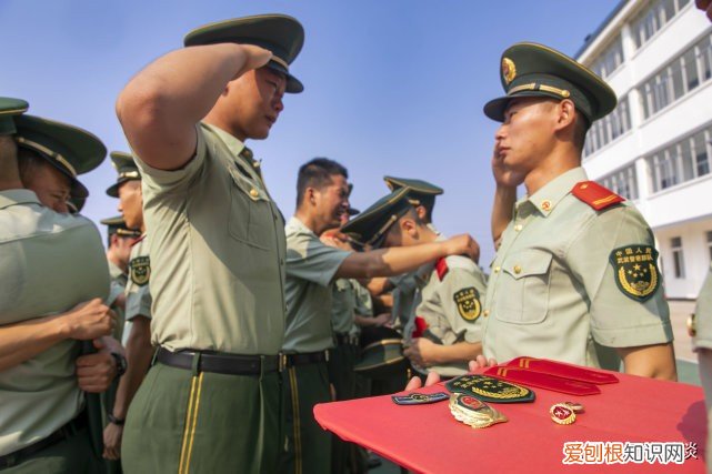 12年兵龄退伍安置什么工作 12年退伍一般分配什么工作