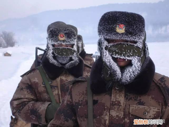 12年兵龄退伍安置什么工作 12年退伍一般分配什么工作