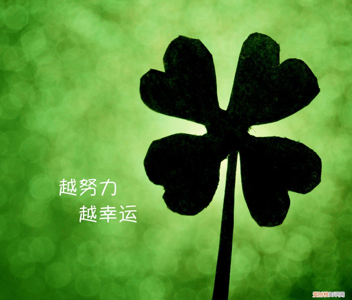 规章制定主体是,行政法制监督的对象