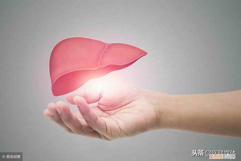 总胆红素高是怎么了 总胆红素偏高是什么原因