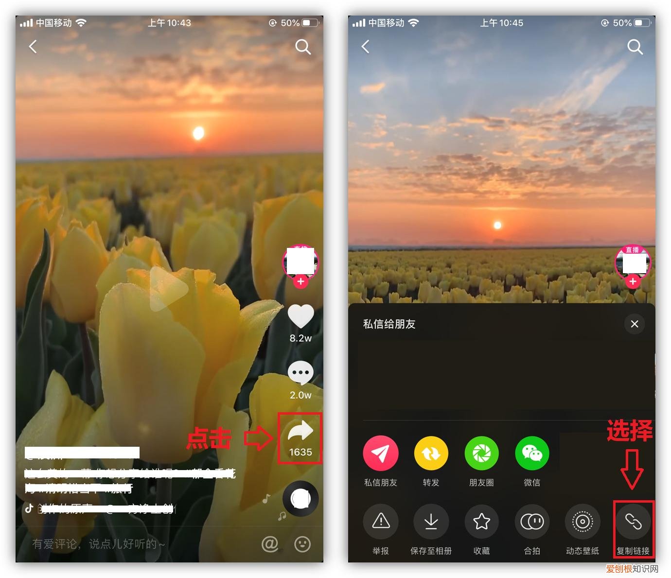 抖音视频怎么去掉抖音的水印？这2种方法去水印方法，不妨试试