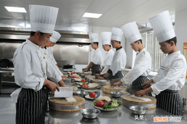 大专介绍,专业介绍大全