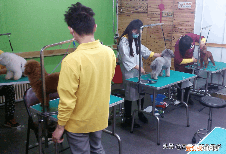 大专介绍,专业介绍大全