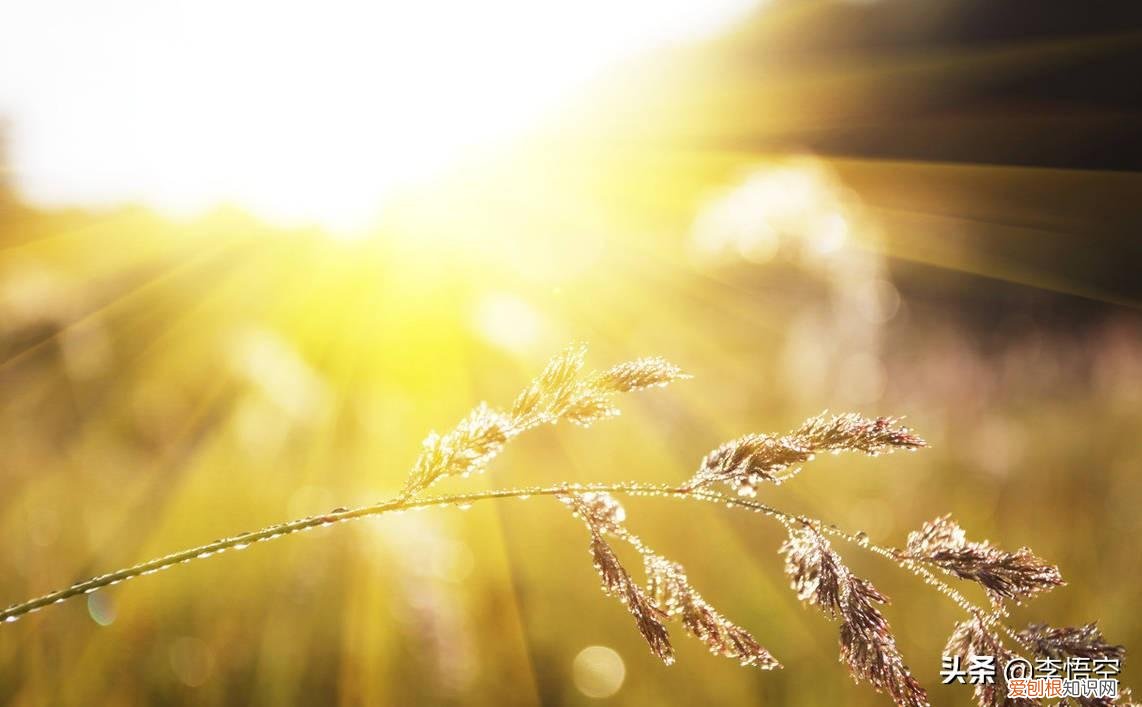 为什么自杀的人不顾亲人的感受