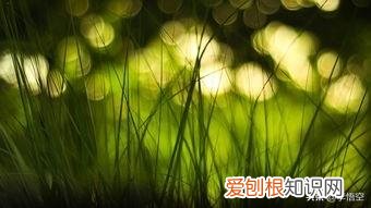 为什么自杀的人不顾亲人的感受