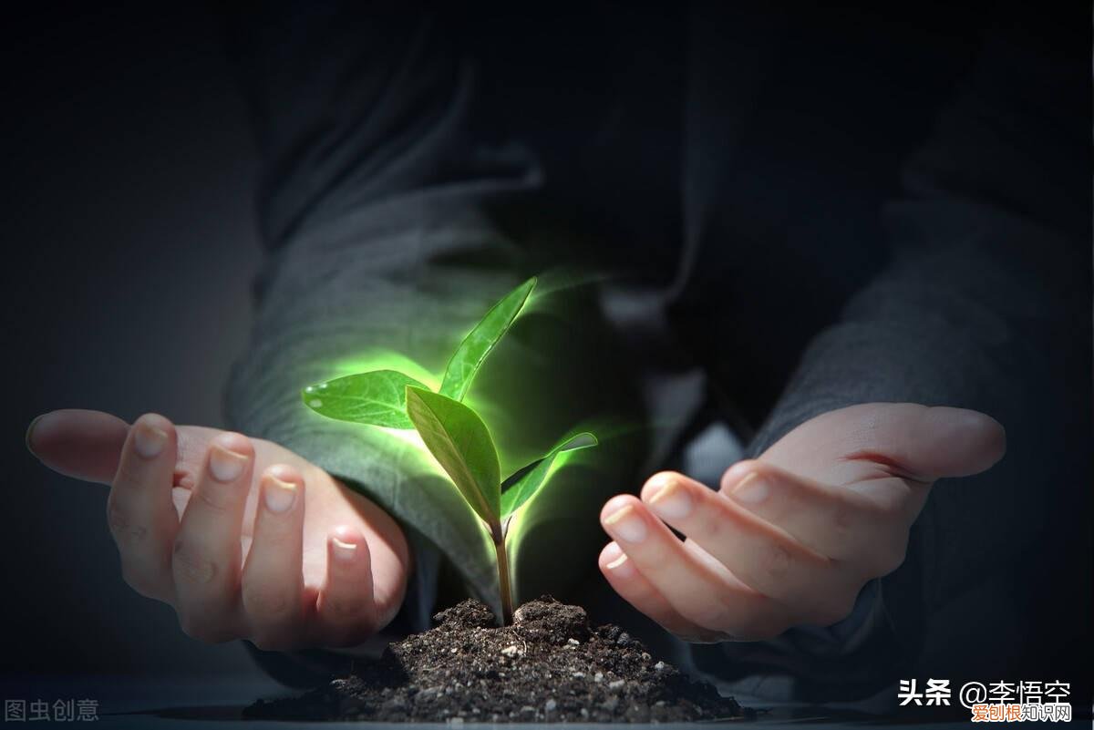 为什么自杀的人不顾亲人的感受