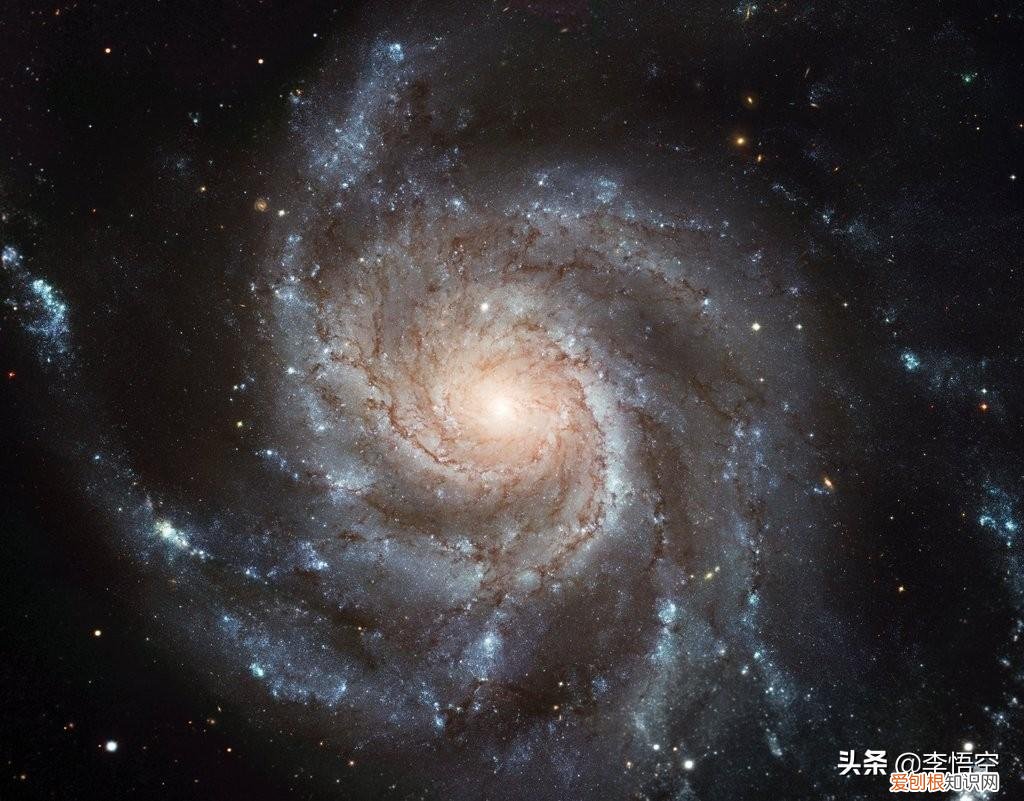 为什么自杀的人不顾亲人的感受