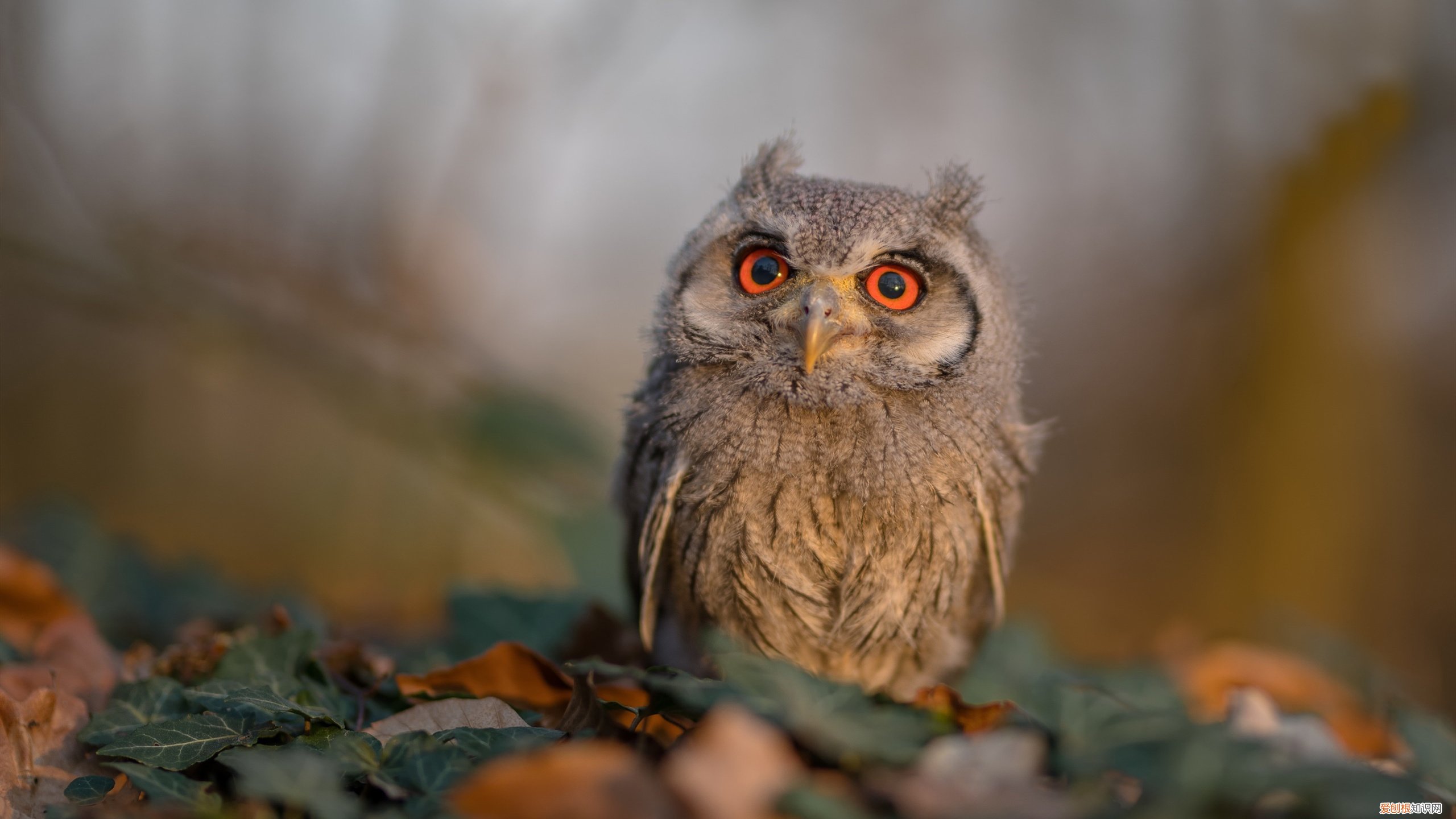 考研性价比高的专业,适合考研的专业有哪些